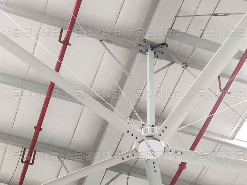  大吊扇引領鋼結構廠房降溫新紀元：高效、環保與人文關懷並重