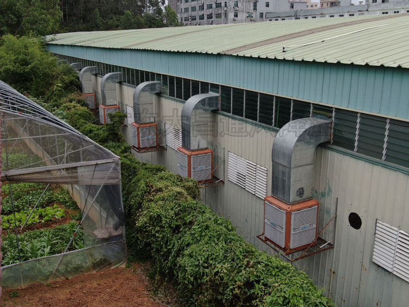 東莞工廠降溫 車間降溫新風系統安裝