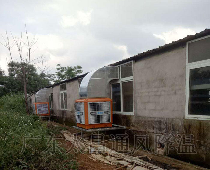 養殖場通風降溫工程|潤東方環保空調方案設備