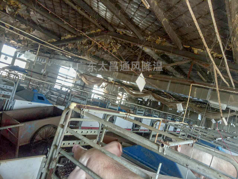 養殖場通風降溫常用設備3